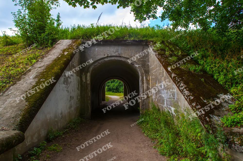 На фотографии изображен старинный тоннель или проход, окруженный густой зеленью и мхом. Его массивные каменные стены покрыты следами времени, добавляя характер и историческую значимость этому месту. Тоннель проходит под насыпью, создавая арочный проход, который погружает зрителя в атмосферу уединения. Летняя зелень вокруг подчеркивает гармонию между архитектурой и природой, добавляя особую загадочность этому участку парка.